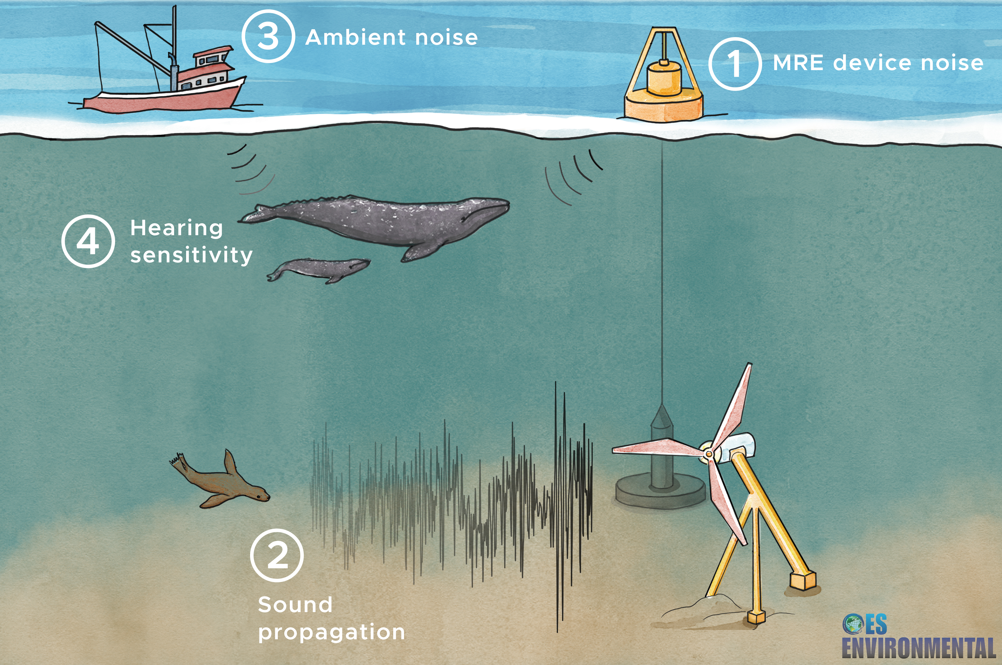 Illustrated underwater scene showing how marine energy devices might make noise and how that can affect different marine life. Image adapted by Stephanie King.