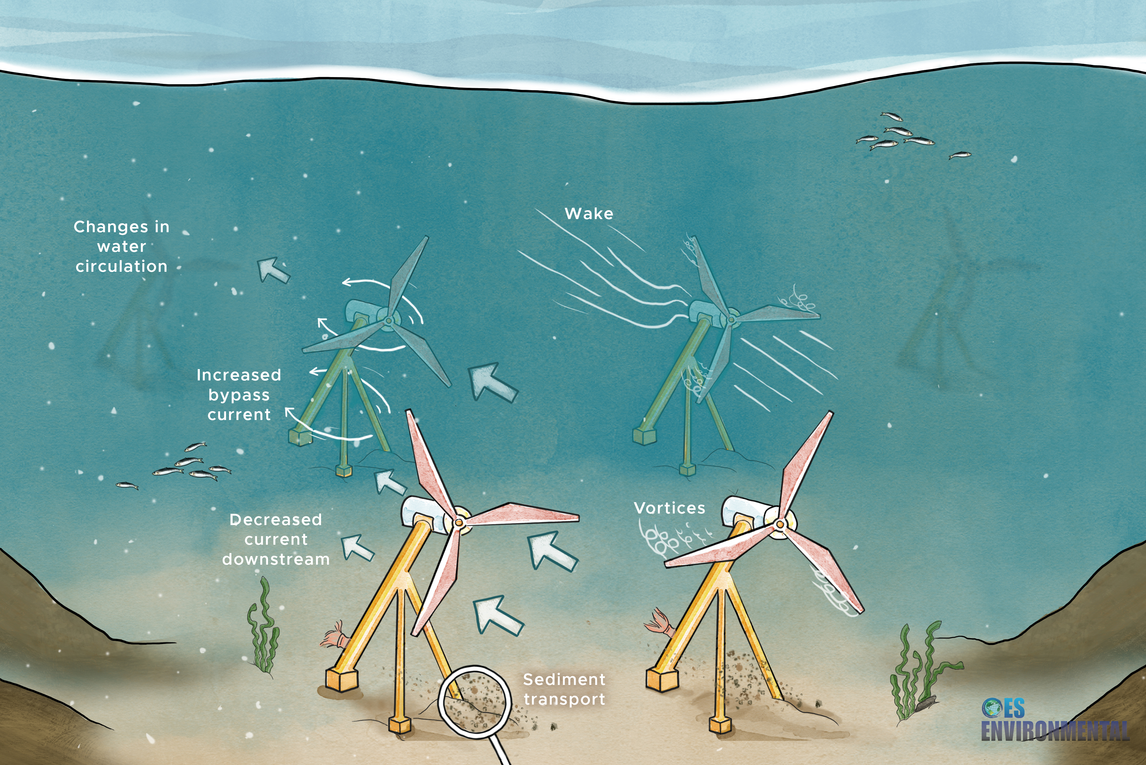 illustrated underwater scene showing axial flow turbines and different oceanographic systems they can cause or affect such as changes in current and circulation, and creating vortices and wakes