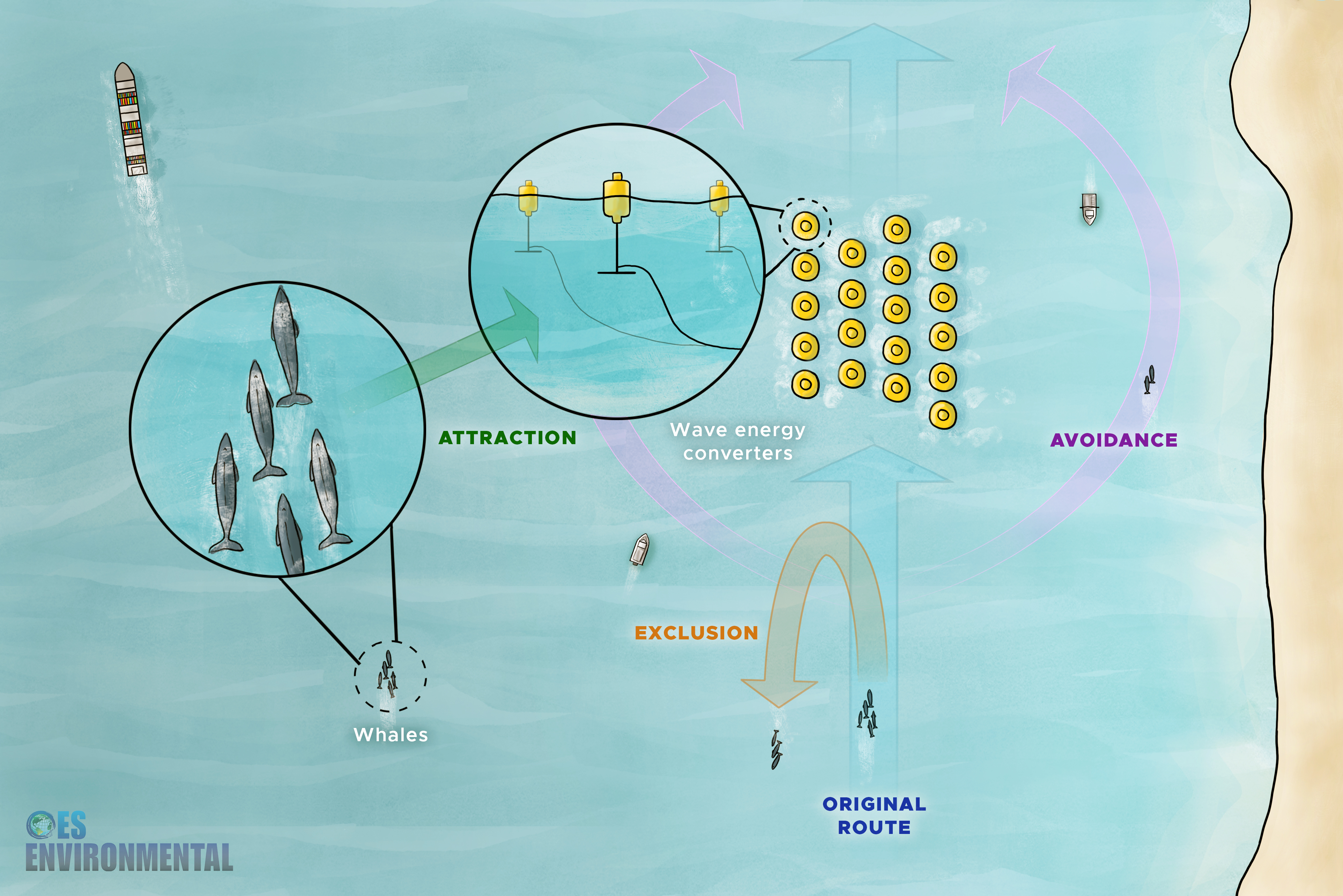 Illustrated birds eye view scene showing different displacement behaviors animals can display when encountering a marine energy device such as attraction, exclusion, and avoidance