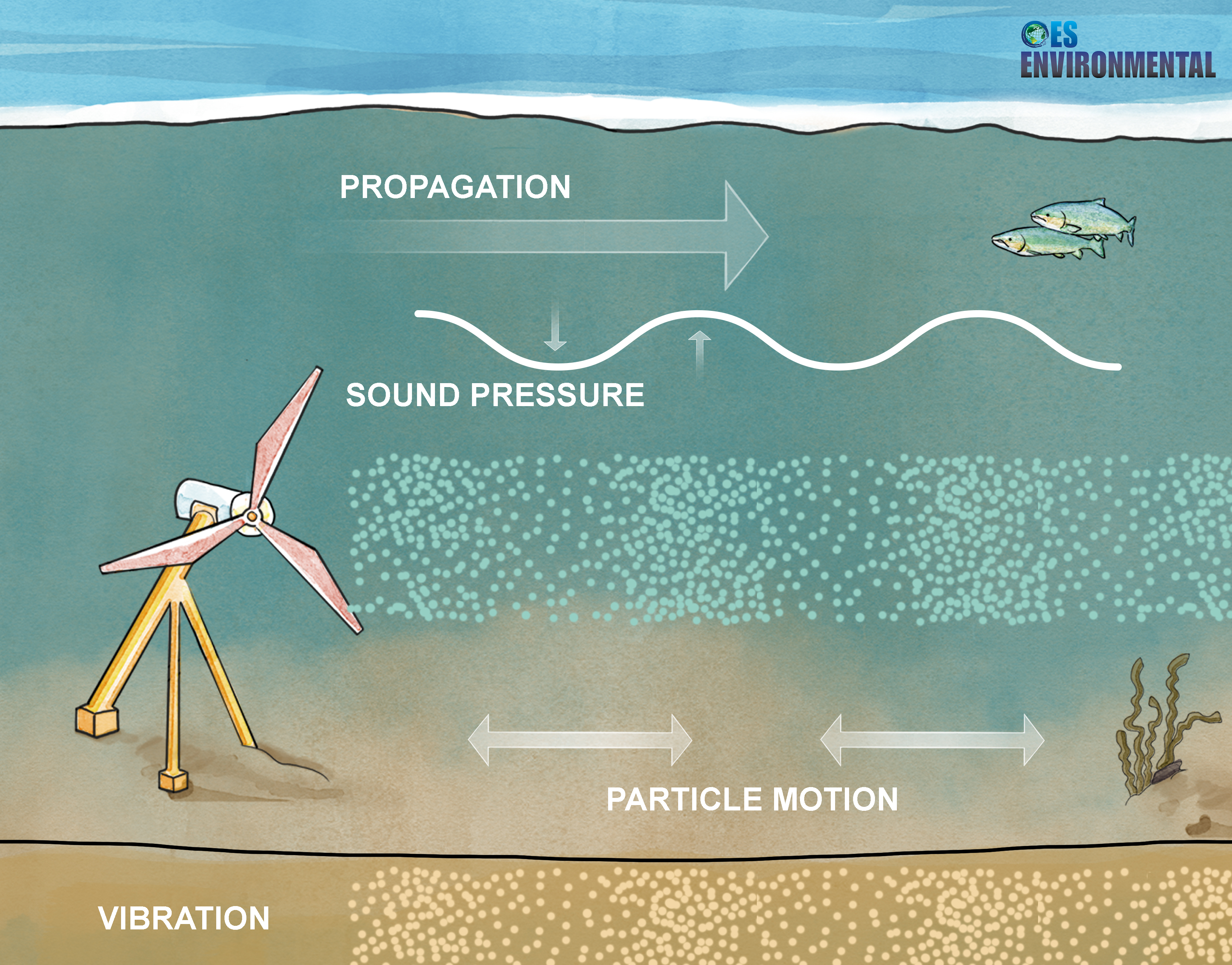 illustrated underwater scene showing how a marine energy device can impact particle motion in the marine environment through propagation, sound pressure, and vibration