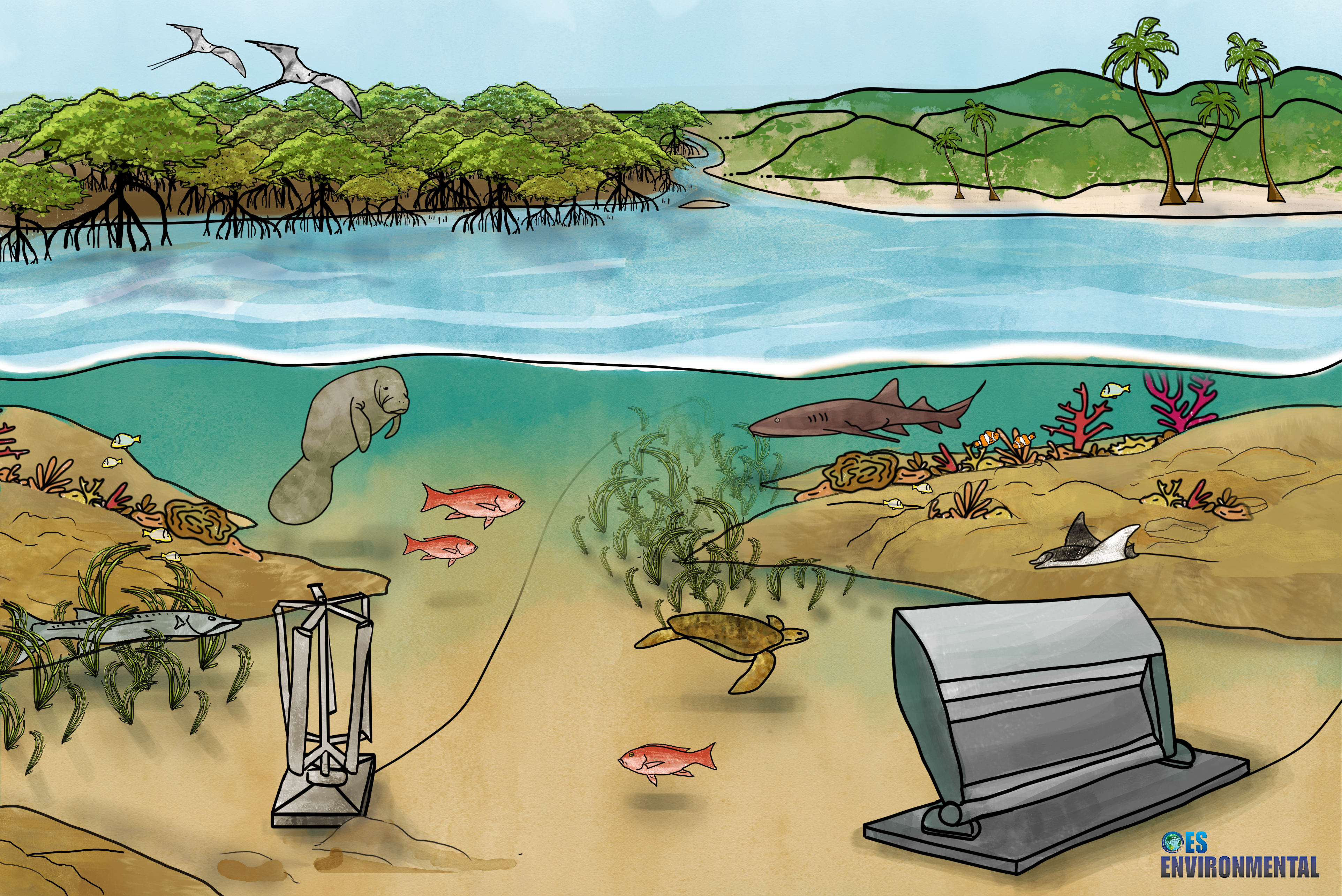 illustrated underwater scene showing what marine energy might look like in a tropical ecosystem surrounded by tropical marine life