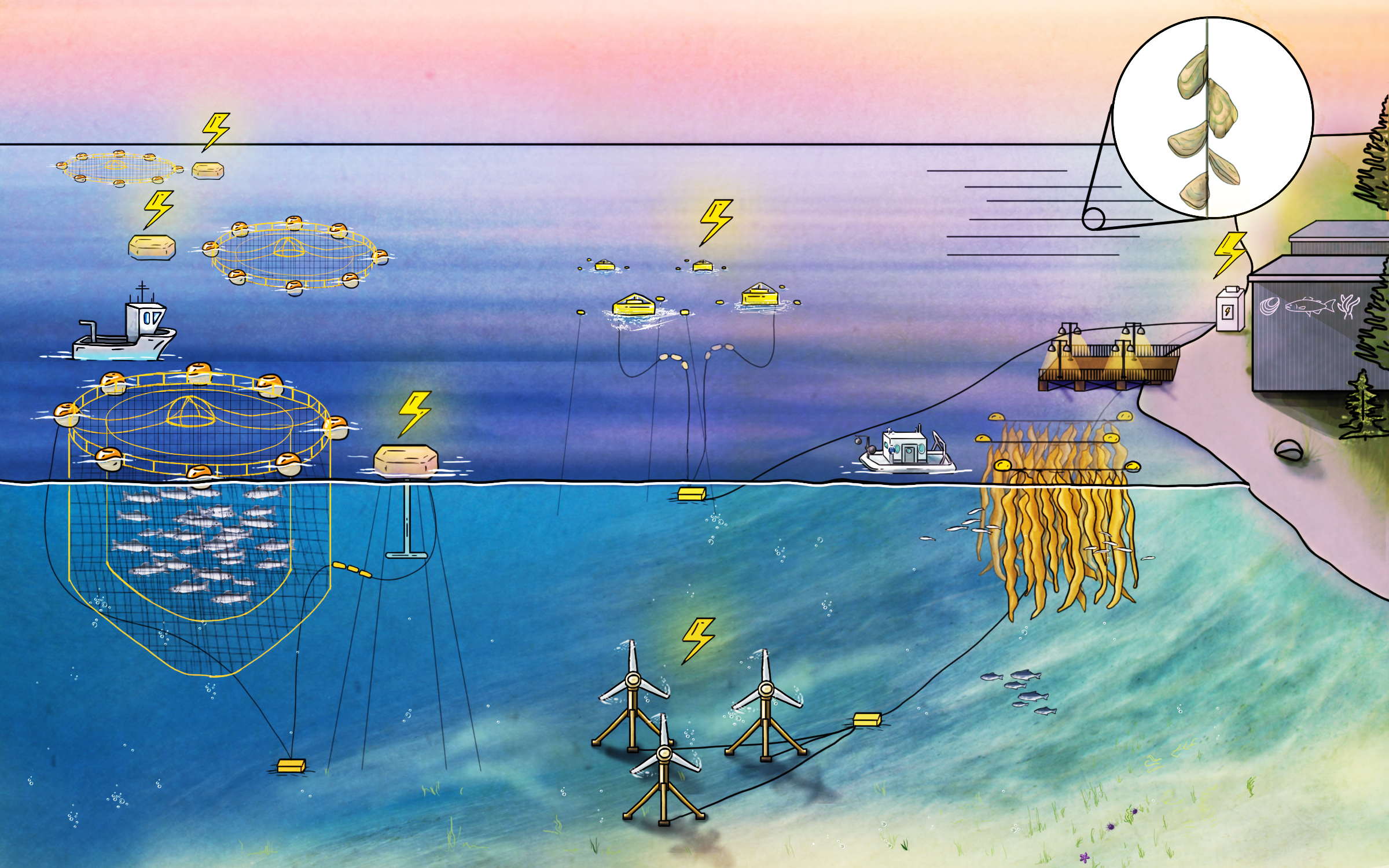 illustrated scene showing tidal turbines and point absorbers providing power to different aquaculture operations such as net pens for fish and kelp farming, as well as powering onshore lighting and facilities