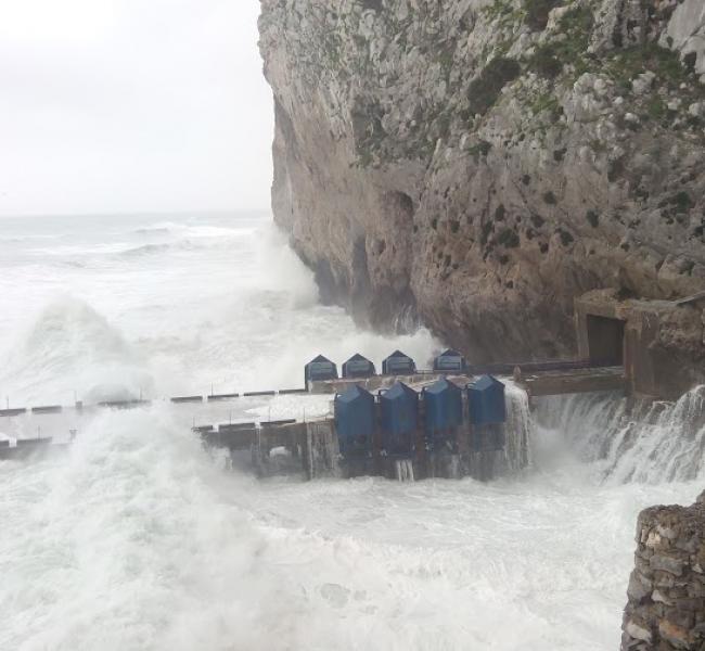 Eco Wave Power Array