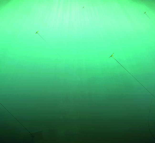 Minesto Deep Green Array Illustration