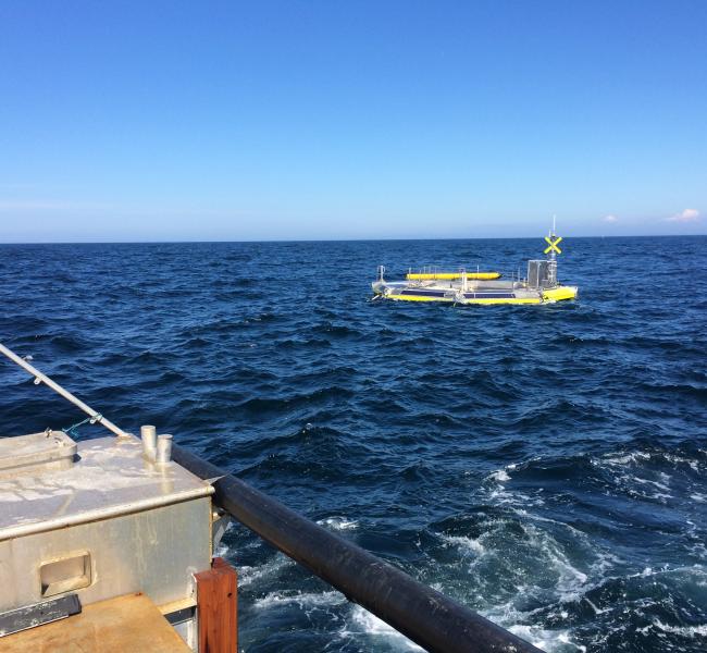 Seatricity Oceanus 2 Installed at Wave Hub