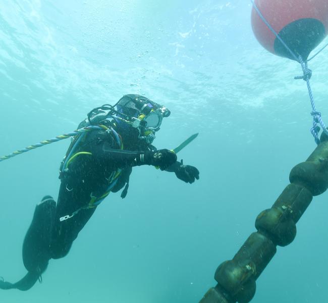SABELLA Balao Underwater Cable