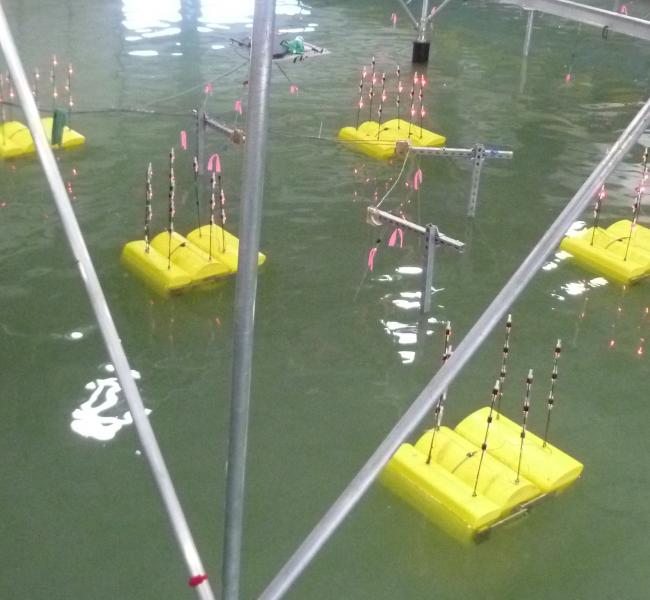 Columbia Power Array Testing