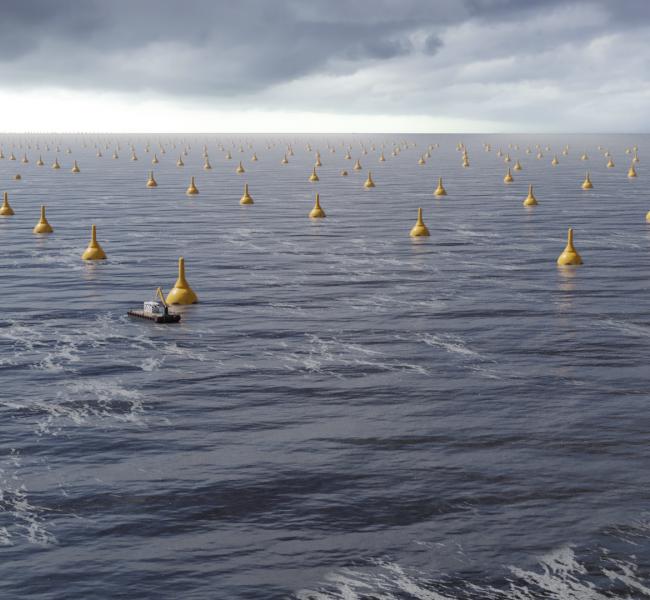 CorPower Ocean Wave Farm Illustration