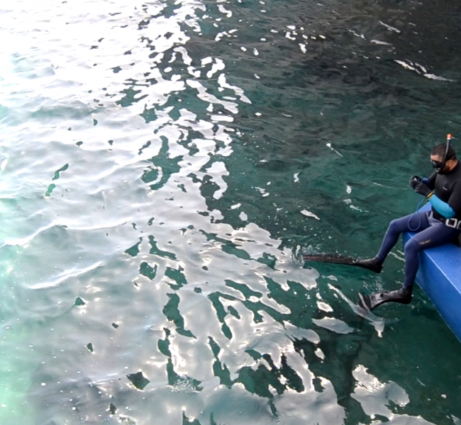 Eco Wave Power Gibraltar Power Station Diver