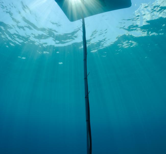Resen Waves - Power Buoy (Courtesy of Matthew Oldfield Photography)