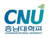 CNU logo