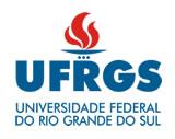 Federal University of Rio Grande do Sul (UFRGS) Logo