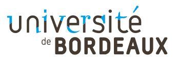 University of Bordeaux Logo