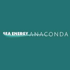 Checkmate Sea Energy Logo