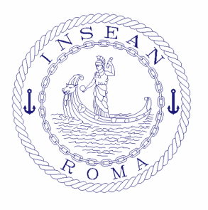 INSEAN logo