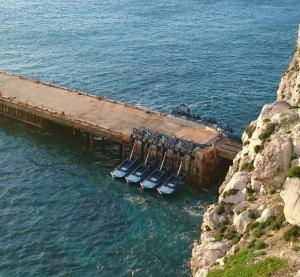 Eco Wave Power Array 