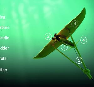 Minesto Deep Green Parts Illustration