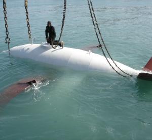 Blue Shark Power Systems - Blue Shark Turbine