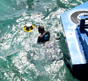 Eco Wave Power Gibraltar Power Station Diver