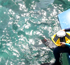 Eco Wave Power Gibraltar Power Station Diver