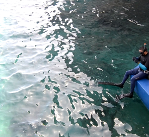Eco Wave Power Gibraltar Power Station Diver
