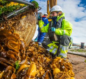 European Marine Energy Centre (EMEC) Cleaning biofouling from a waverider buoy at EMEC (Credit Colin Keldie)