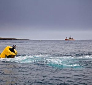 European Marine Energy Centre (EMEC) Mooring in tidal flow at Fall of Warness tidal test site (Credit Colin Keldie)