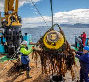 European Marine Energy Centre (EMEC) Waverider buoy recovery from EMEC wave test site (Credit Colin Keldie)