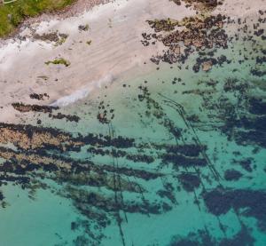 European Marine Energy Centre (EMEC) Subsea cables feeding onshore at EMEC test site