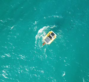 Oneka Technologies Wave Powered Desalination Device