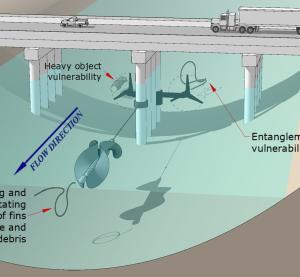 Pliant Energy Systems - Generator Diagram