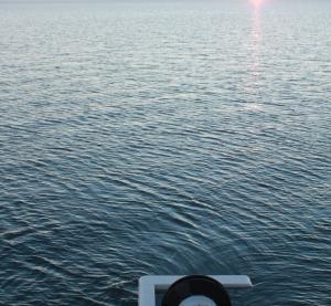 Resen Wave Smart Power Buoy (www.resenwave.com)
